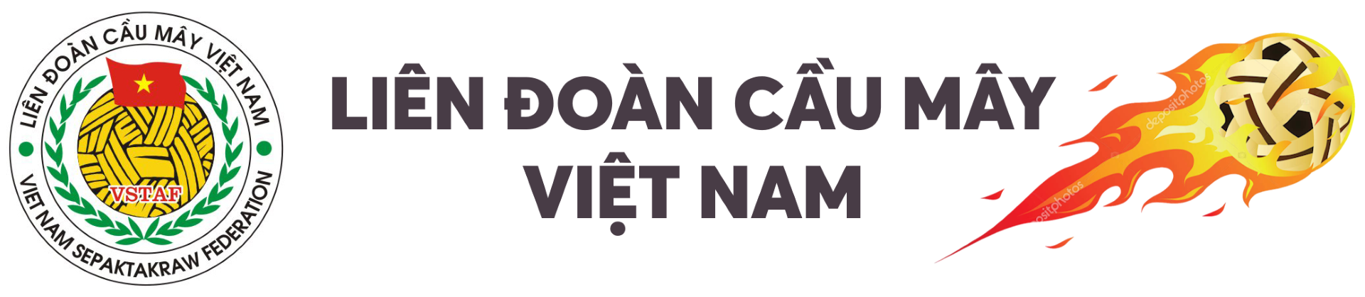 Liên đoàn cầu mây Việt Nam